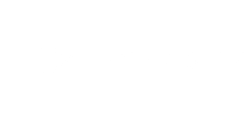 19th Dynasty logo